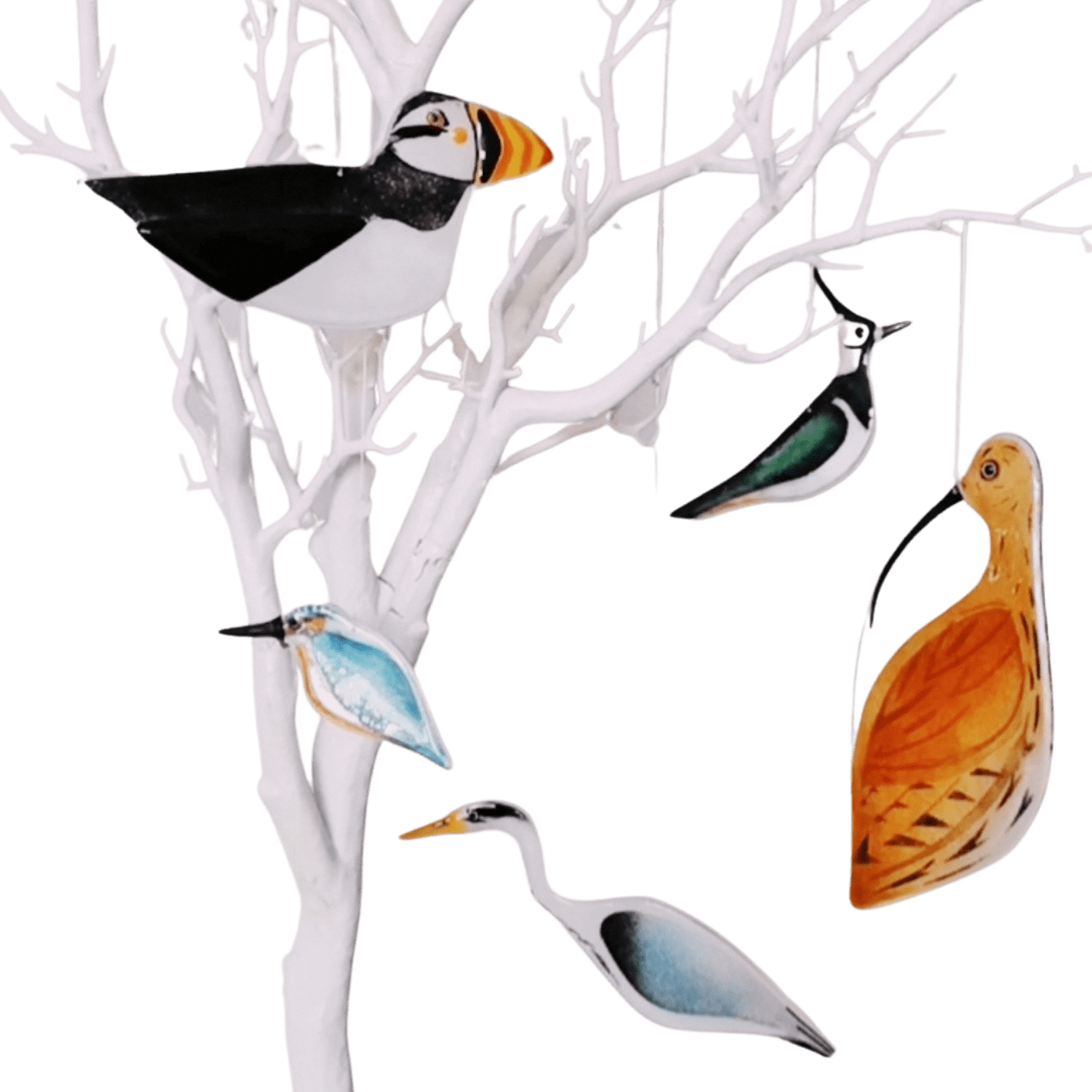 Robyn Coetzee Contemporary Glass Society